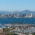 San Diego's Big Bay