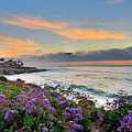 Flowers by the Ocean